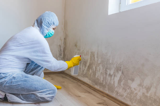 Licensed Basement Mold Remediation service in Monroe Township, NJ - 24 Hour Mold Removal