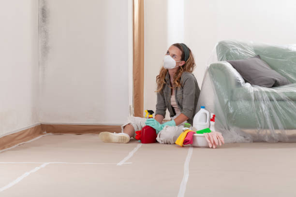 Reliable Basement Mold Remediation contractor in Monroe Township, NJ by 24 Hour Mold Removal
